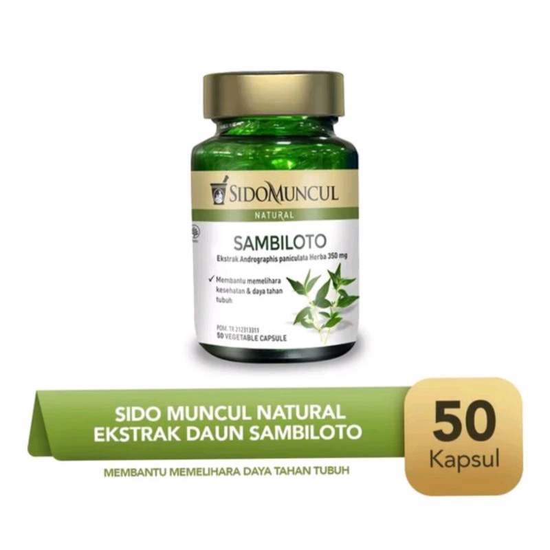 SIDO MUNCUL EKTRAK DAUN SAMBILOTO