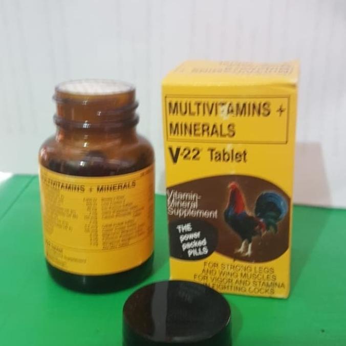 PROMO V22 super obat multivitamin ayam bangkok pisau impor filipina Murah