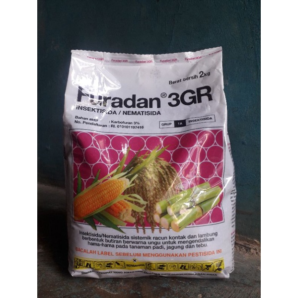 

Puradan eceran 200gm