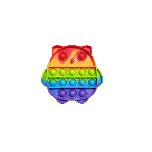 Pop it fidget toy Rainbow-Owl