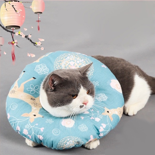 Harga Cone Kucing Bantal Terbaru November 2021  BigGo Indonesia