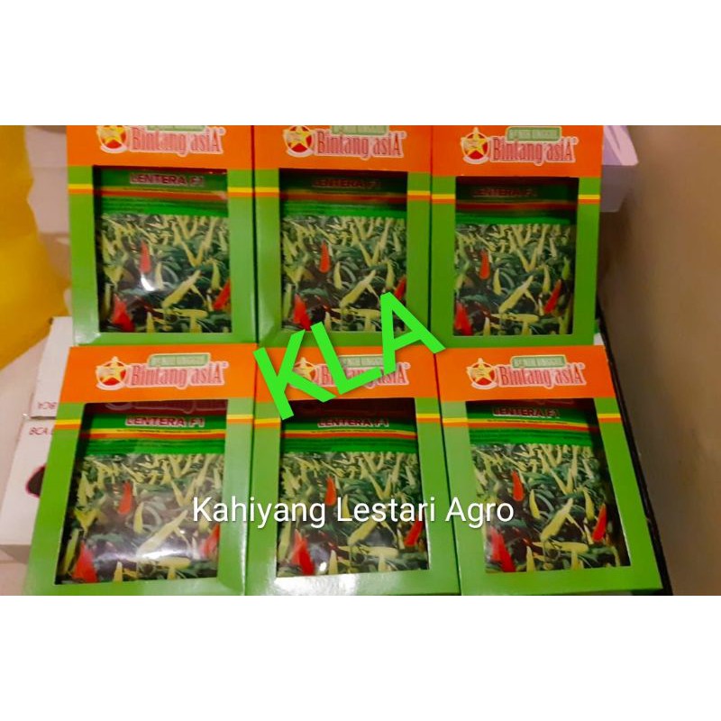 Cabai Rawit Tegak Genjah LENTERA F1