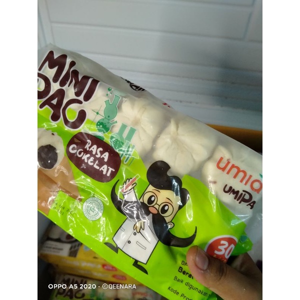 

Mini Pao