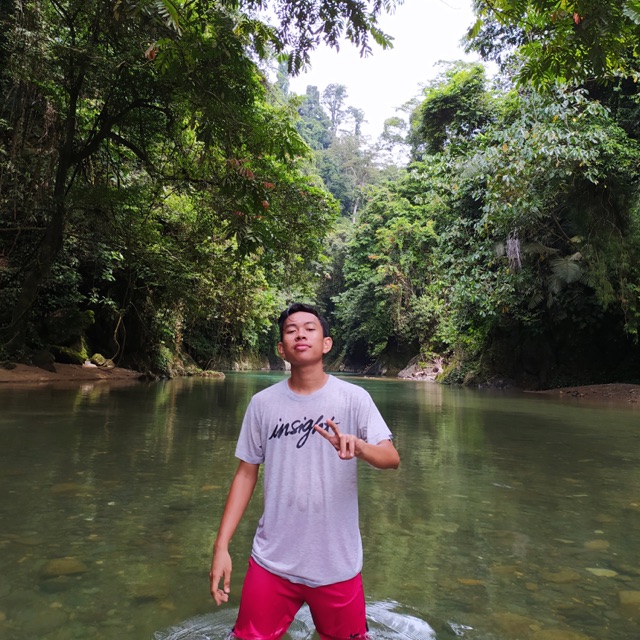 iwa_realizer