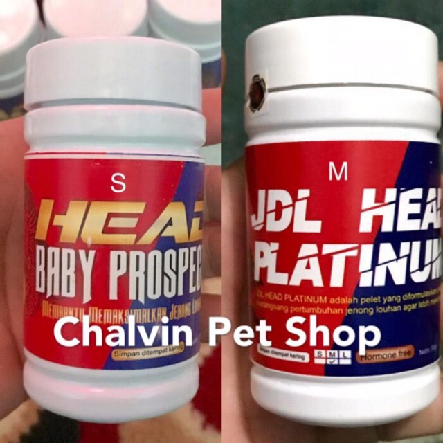 Pelet Khusus Jenong Louhan JDL Head Platinum 50gr ORIGINAL Pelet Khusus Jenong Louhan JDL Head Platinum 50gr ORIGINAL