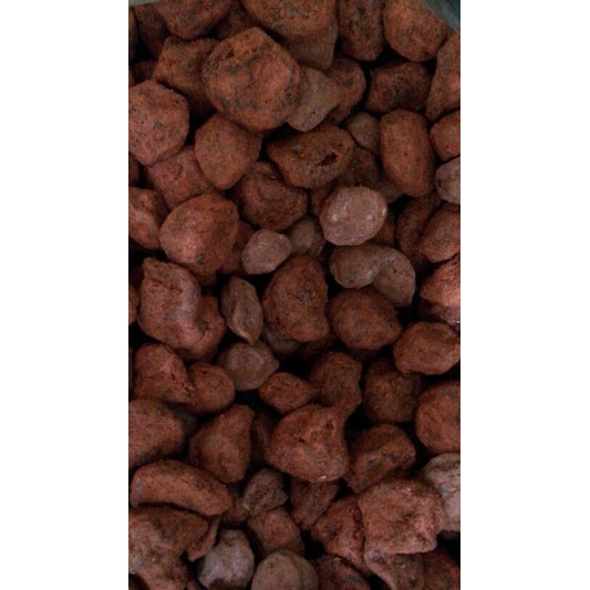

Manisan Kiamboi Merah - 100gr Kiamboy Merah
