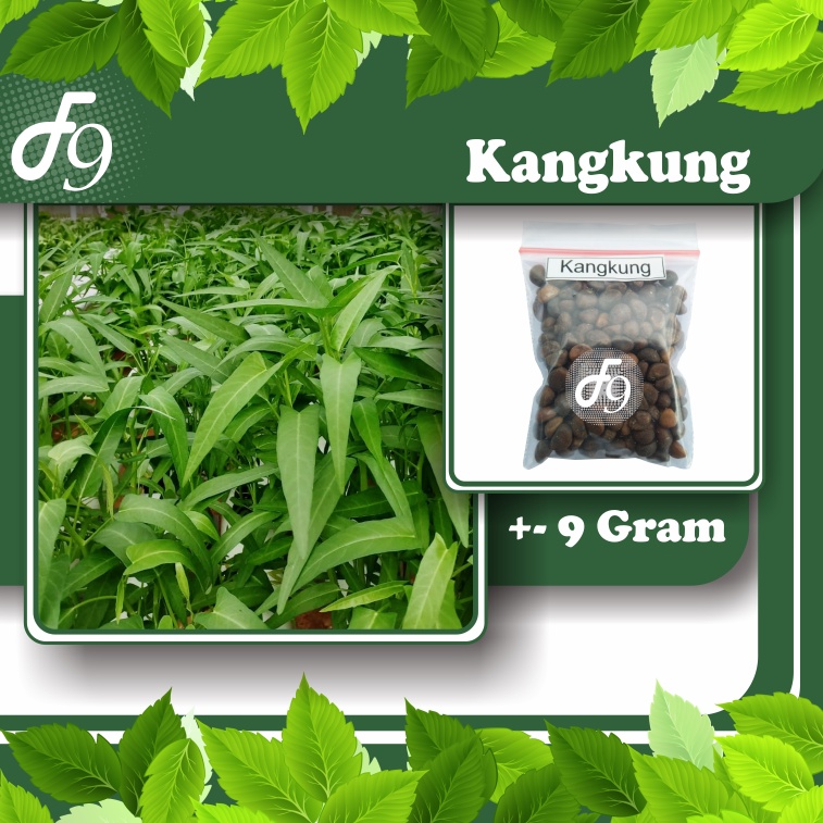 Benih Bibit Sayuran Daun Repack Murah Seribuan