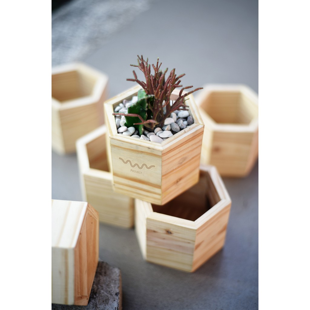 pot kaktus sukulen dari kayu palet mini hexagon