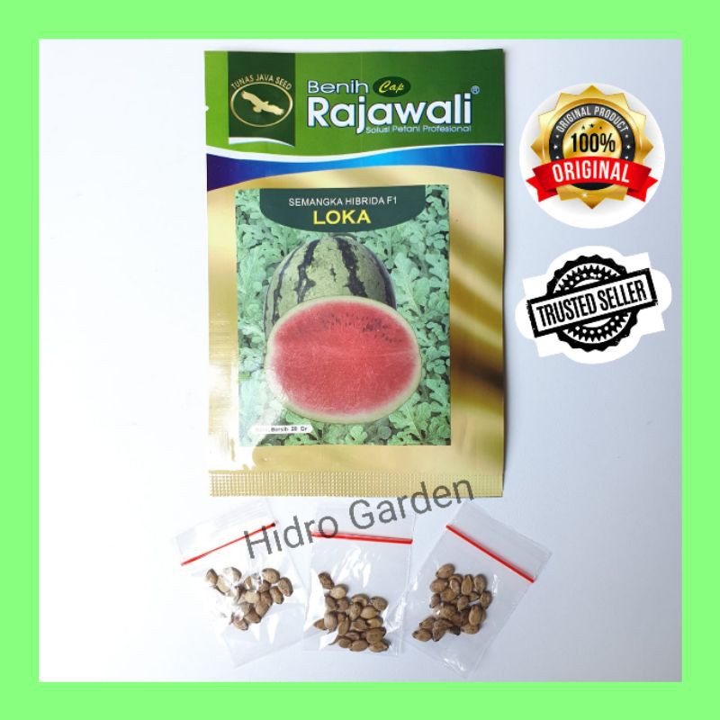 Benih / Bibit Semangka Hibrida F1 Loka Agrosid Repack
