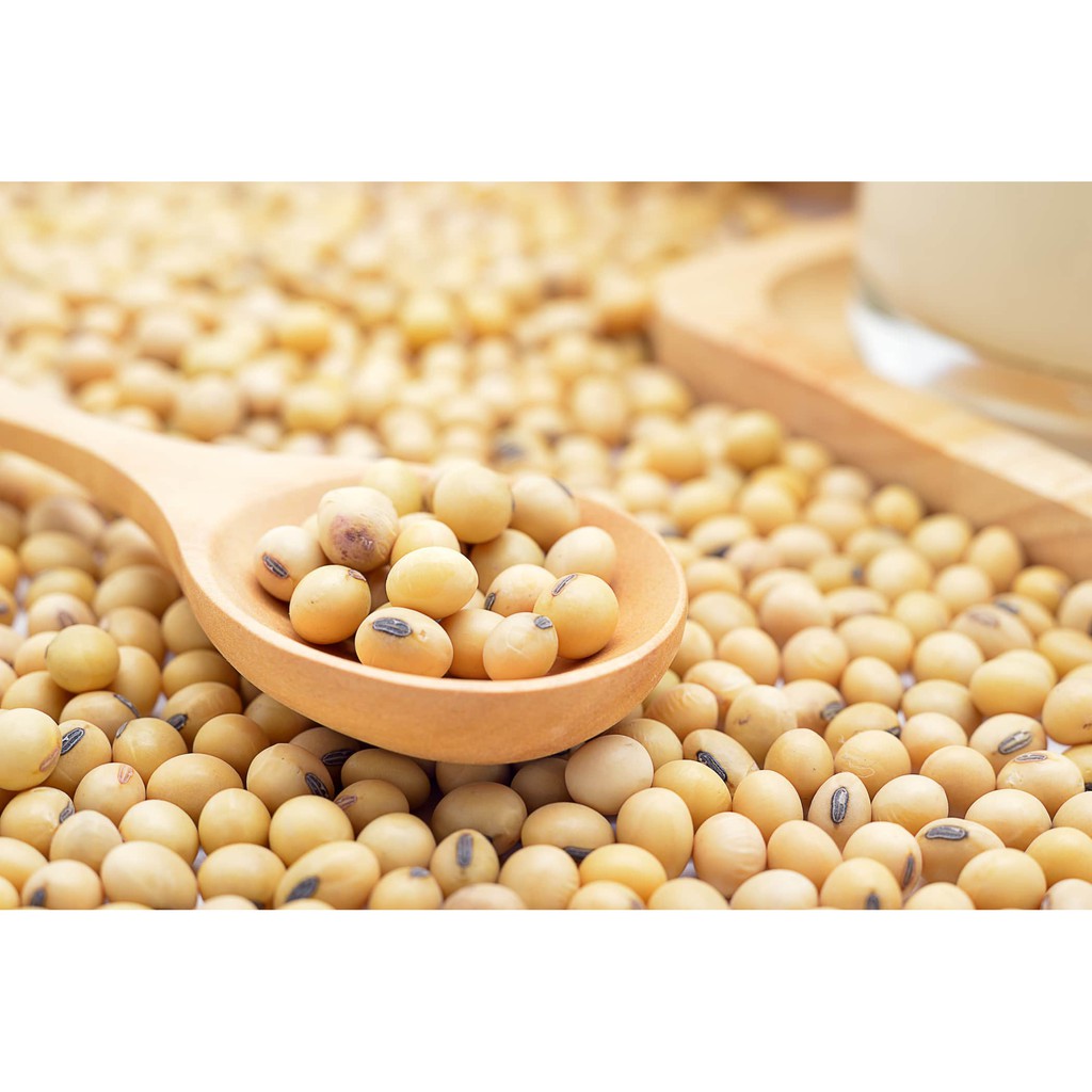 

Soya Kacang Kedelai Super kedelei Soya Bean