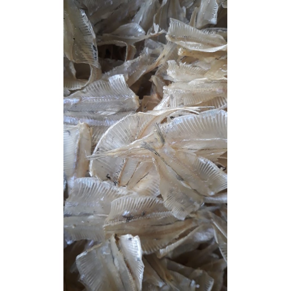 

Ikan pakang super 1 Kg