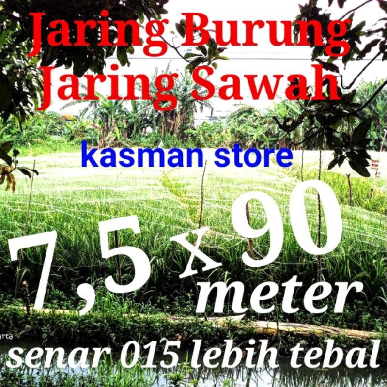 jaring burung emprit sawah jaring padi TERMURAH jaring mandar blekek