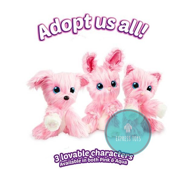 little live scruff a luv pink