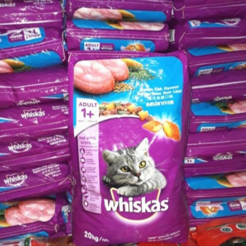 grab gojek makanan kucing whiskas onceanfish 20kg makanan kucing murah