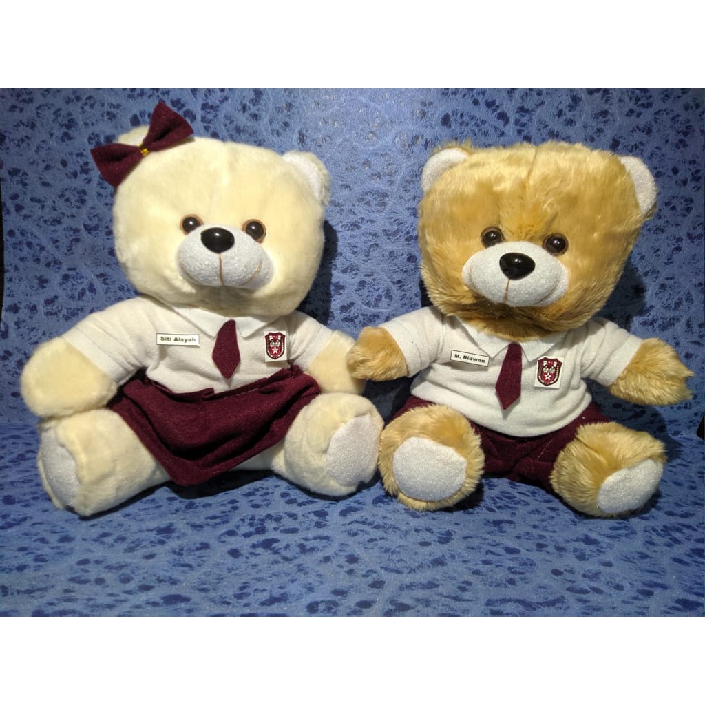 BONEKA SERAGAM SEKOLAH SD SMP SMA | BONEKA KELULUSAN | PERPISANA | BONEKA WISUDA | BUKET BUNGA