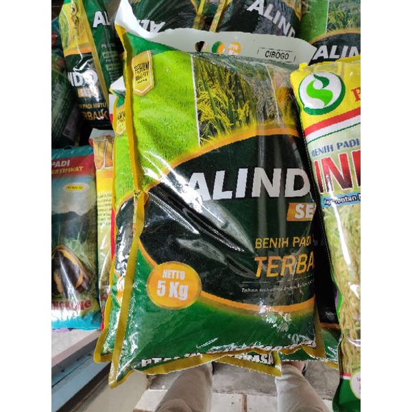 BENIH PADI CIBOGO BIBIT PADI UNGGUL KEMASAN 5 KG