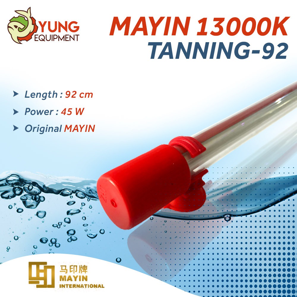 Mayin Led Taning arowana 13000k size 92cm