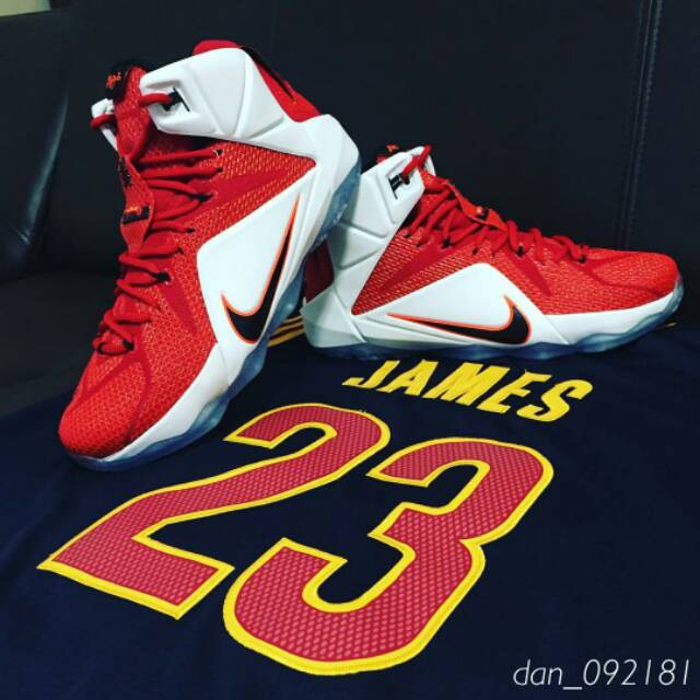 lebron 12 lion