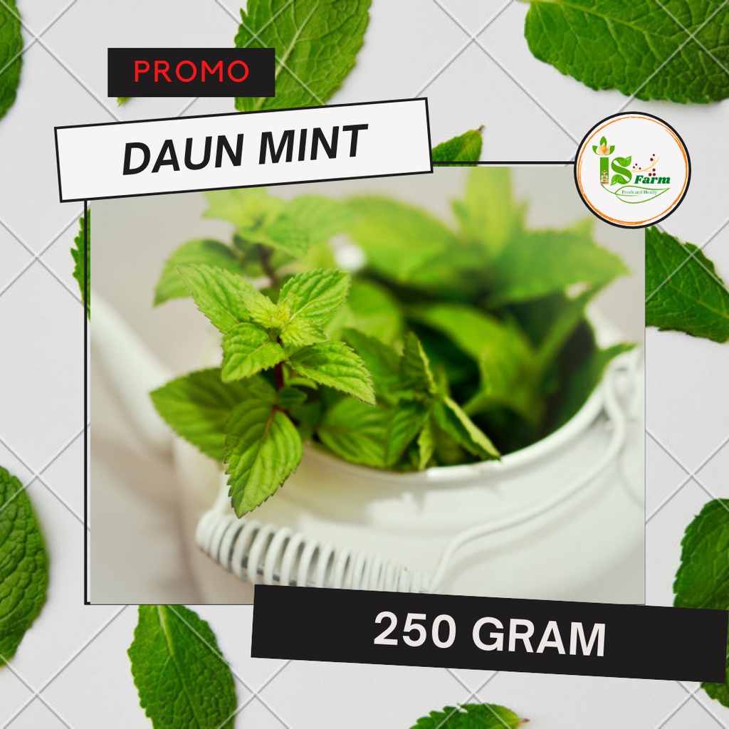 

Daun mint 250 gram