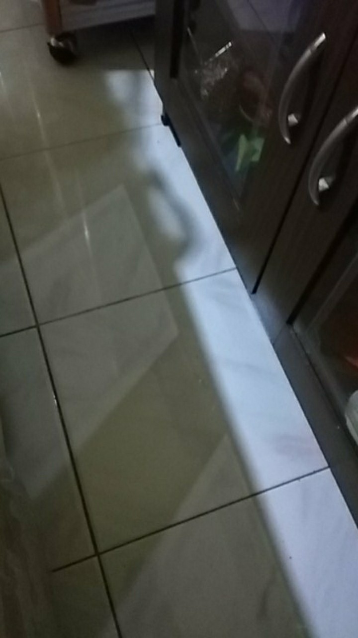 1pot Kaktus Gimno Trikaler