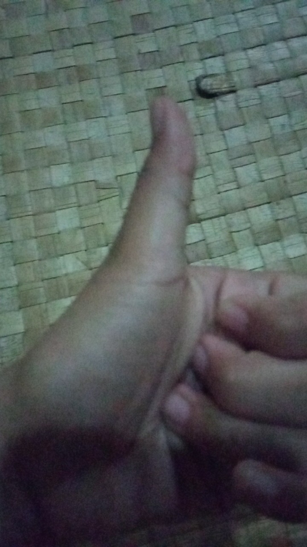 Tatakan Amplas Bulat Velcro 4 Tatakan Amplas Bulat Gerinda 4