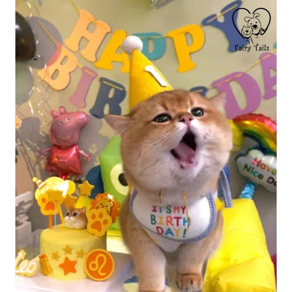 Bib / Slabber Kain Pesta Ulang Tahun Ultah Untuk Anjing dan Kucing / Bib for Birthday Party Pet Dog and Cat