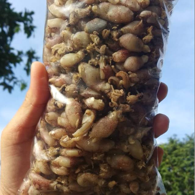 

cumi asin baby (200g) Beby cumi KERING 100% terlaris UK 0,5-1cm TERLARIS