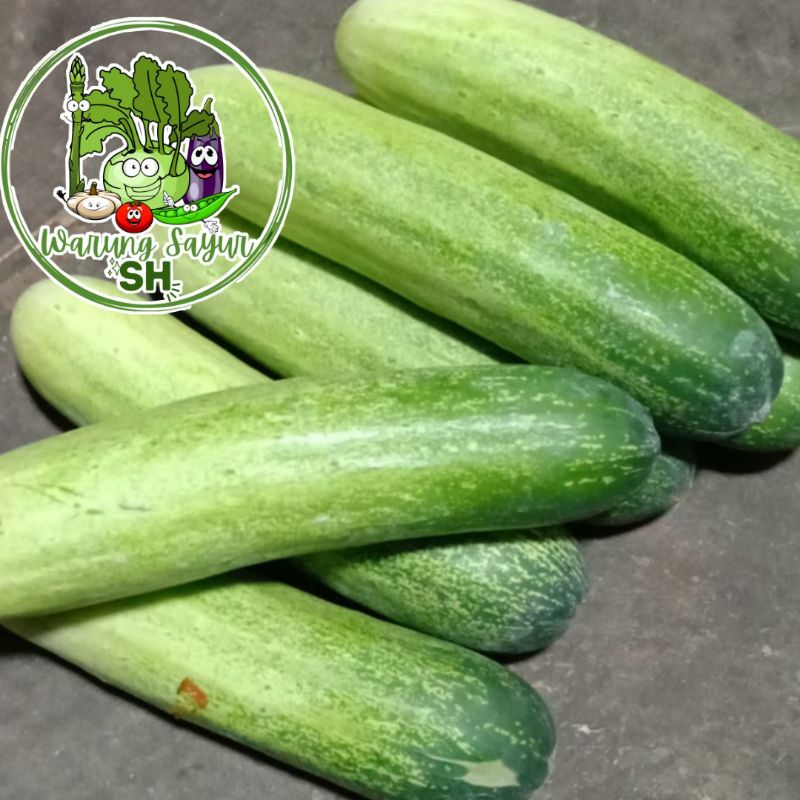 

Timun 1 kg | Fresh Vagetable