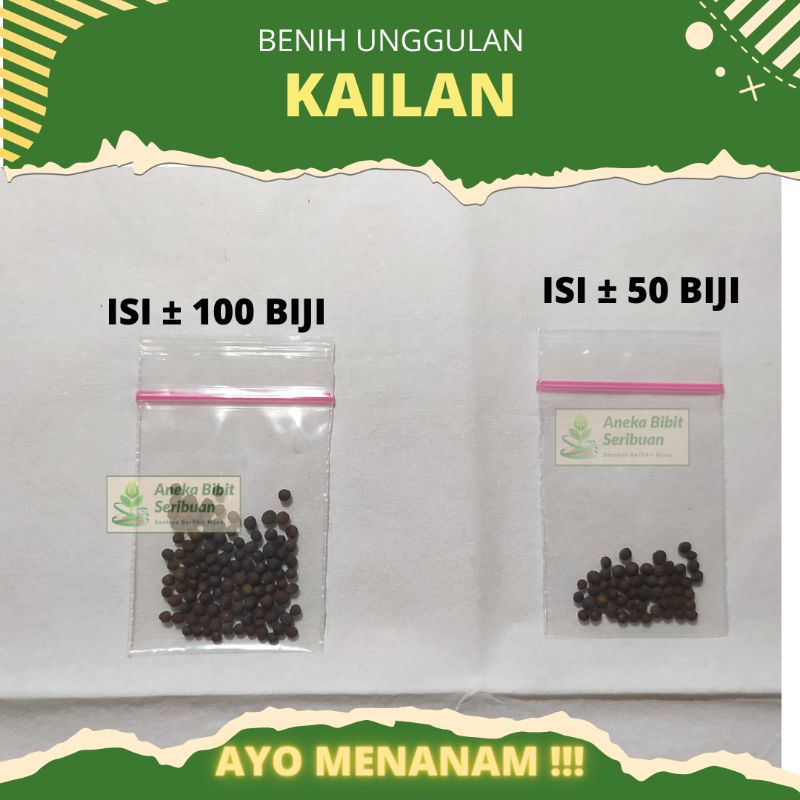 100 biji - Benih Kailan sayuran bibit unggulan