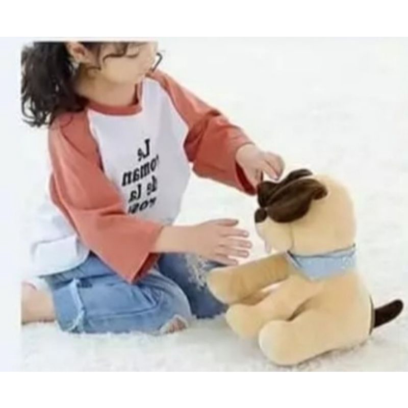 Boneka Dogie Bisa Main Dan Bisa Nyanyi