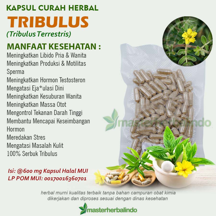 Jual Kapsul Curah Herbal TRIBULUS 200X600mg Aphrodisiac Stamina