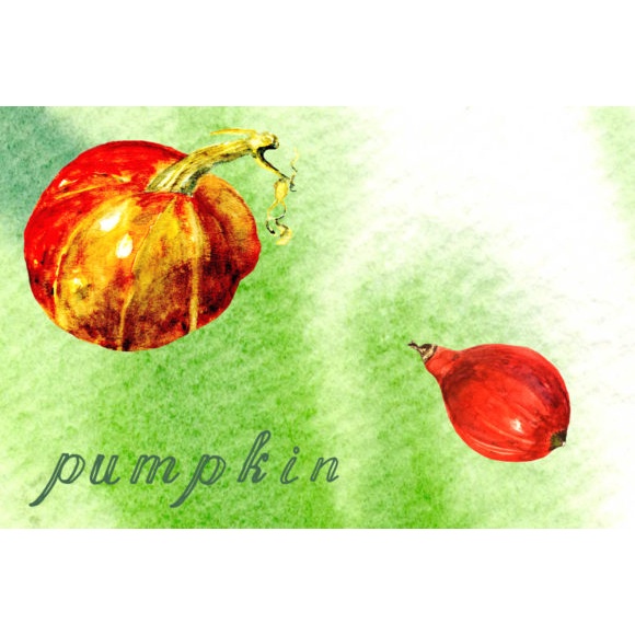 Watercolor Illustrations Vegetables