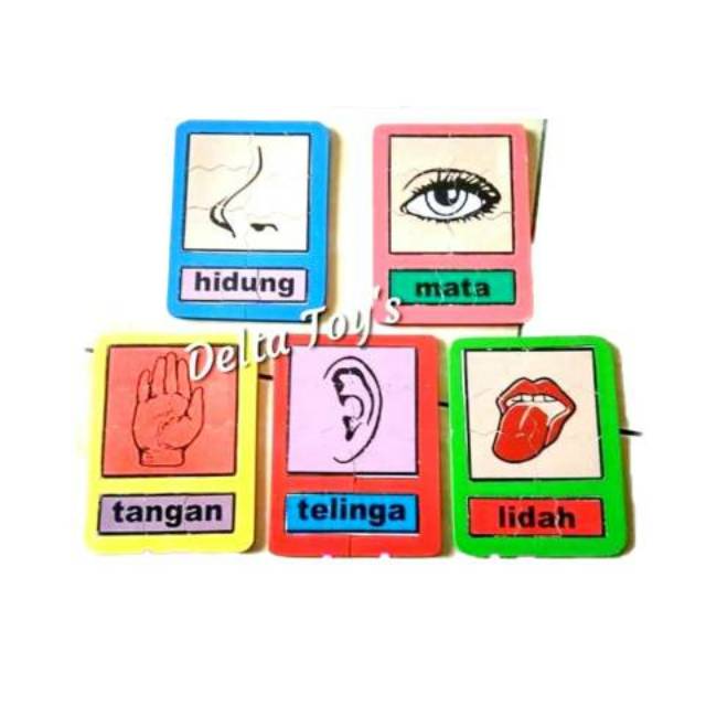 Mainan Edukasi Kayu Anak Paud Tk Puzzle Paket Panca Indra Satu Set Isi 5 Shopee Indonesia