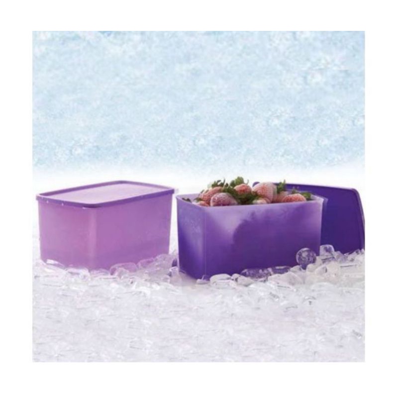 PROMO Large frozen set freezermate set