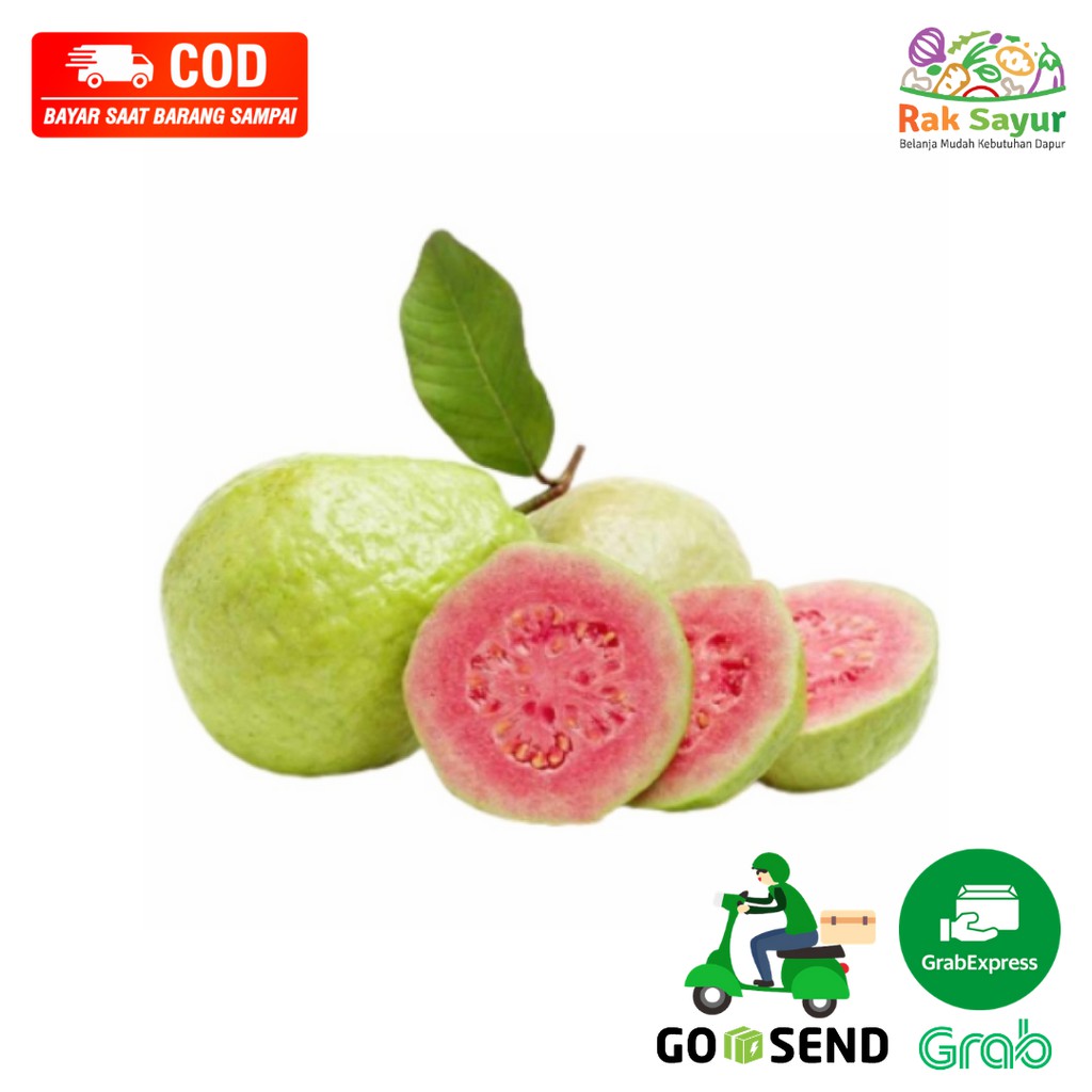 

Buah Segar Jambu Biji Merah Manis Kaya Vit C untuk Jus Sehat Fresh Rak Sayur Padang