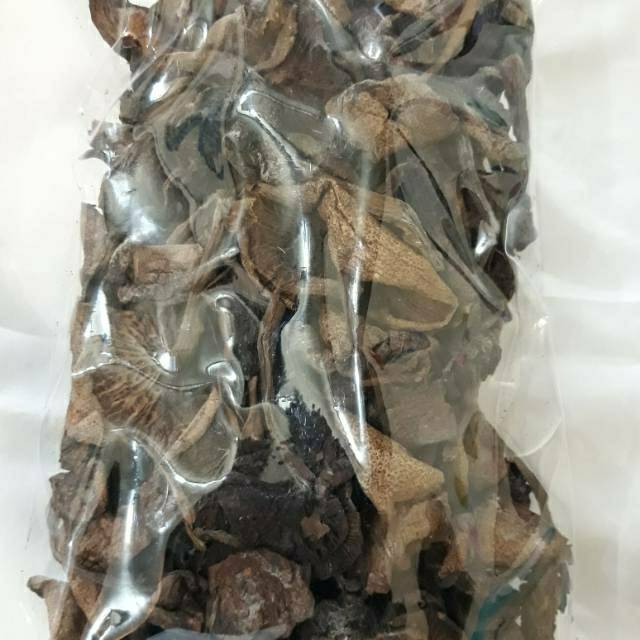 

Kulat jamur sisik khas bangka 250 gram