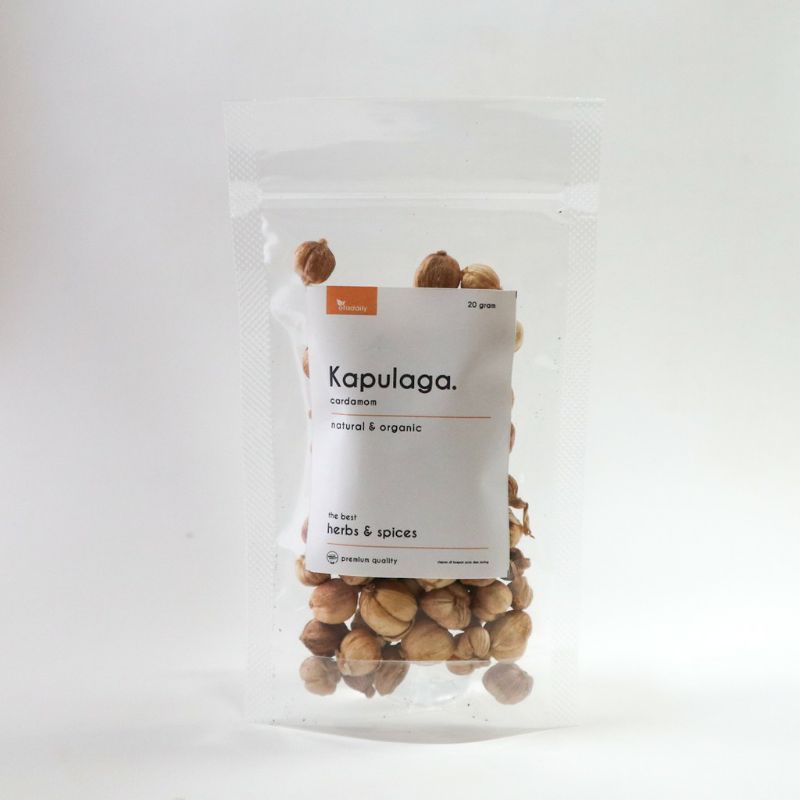 

Kapulaga cardamom 50gram Rempah JSR Herbal harga hemat super food