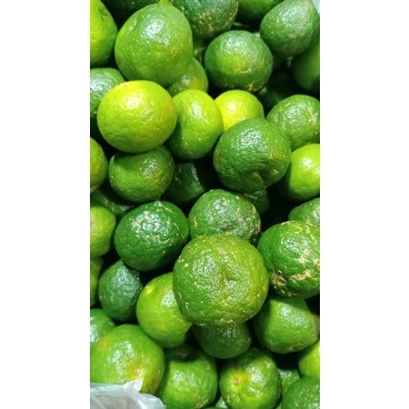 

Jeruk Limo 500 gram