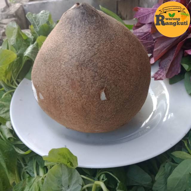 Kelapa 1 buah 10.000