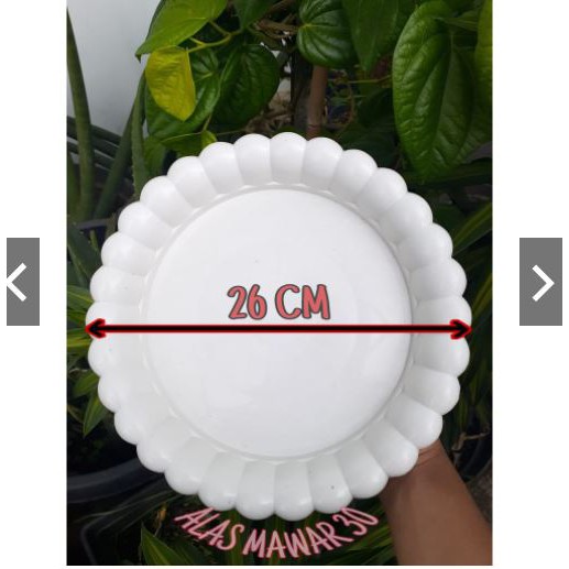 Tatakan Pot Plastik Trk 30cm Putih 30 Cm Tatakan Alas MAWAR Pot Tawon 30 Gentong 32 Murah Pot Putih