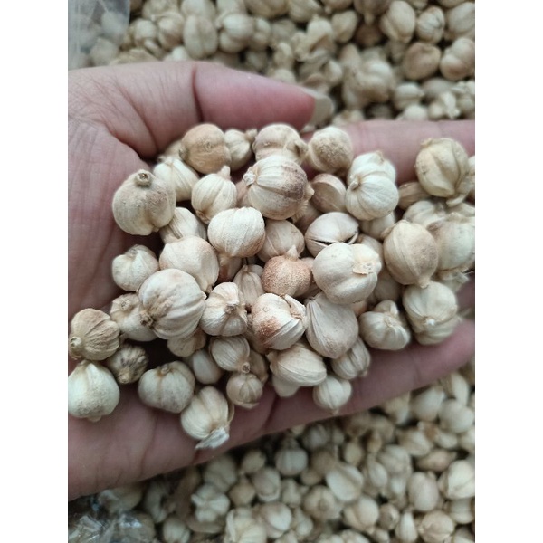 

KAPULAGA KERING 100 GRAM