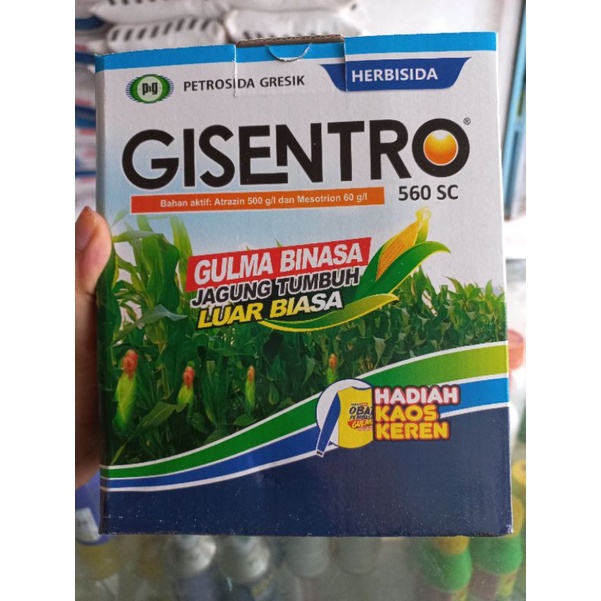 Gisentro 500 ml