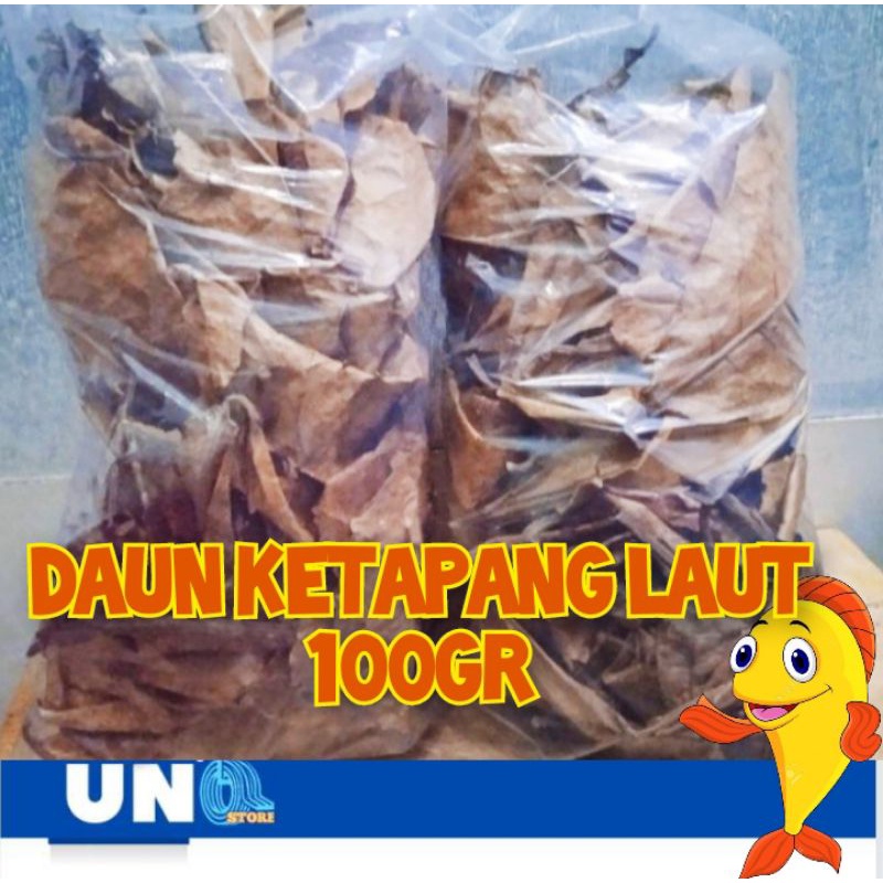 DAUN KETAPANG LAUT PREMIUM 100gram/murah/berkualitas