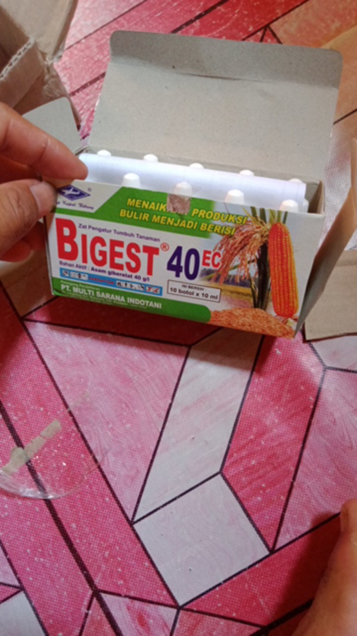 Bigest 40 Ec 10 Ml Zat Pengatur Tumbuh