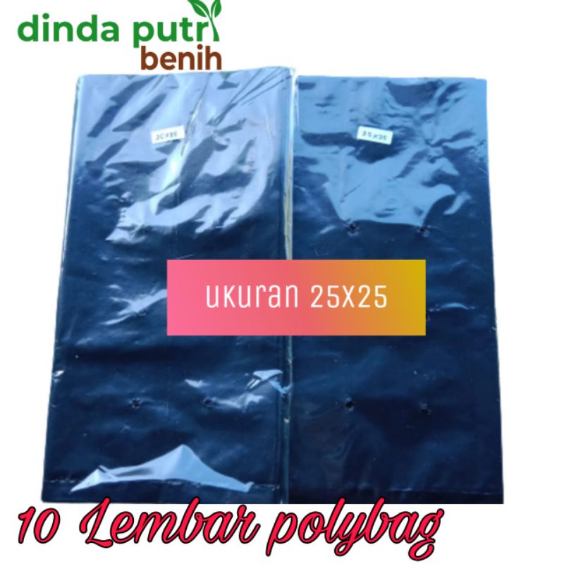 Polybag media tanam 10 lembar ukuran 25x25/ polybag tebal kuat