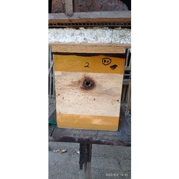 Harga PROMO Bibit Lebah Trigona Biroi Stup Vertikal / Biroi