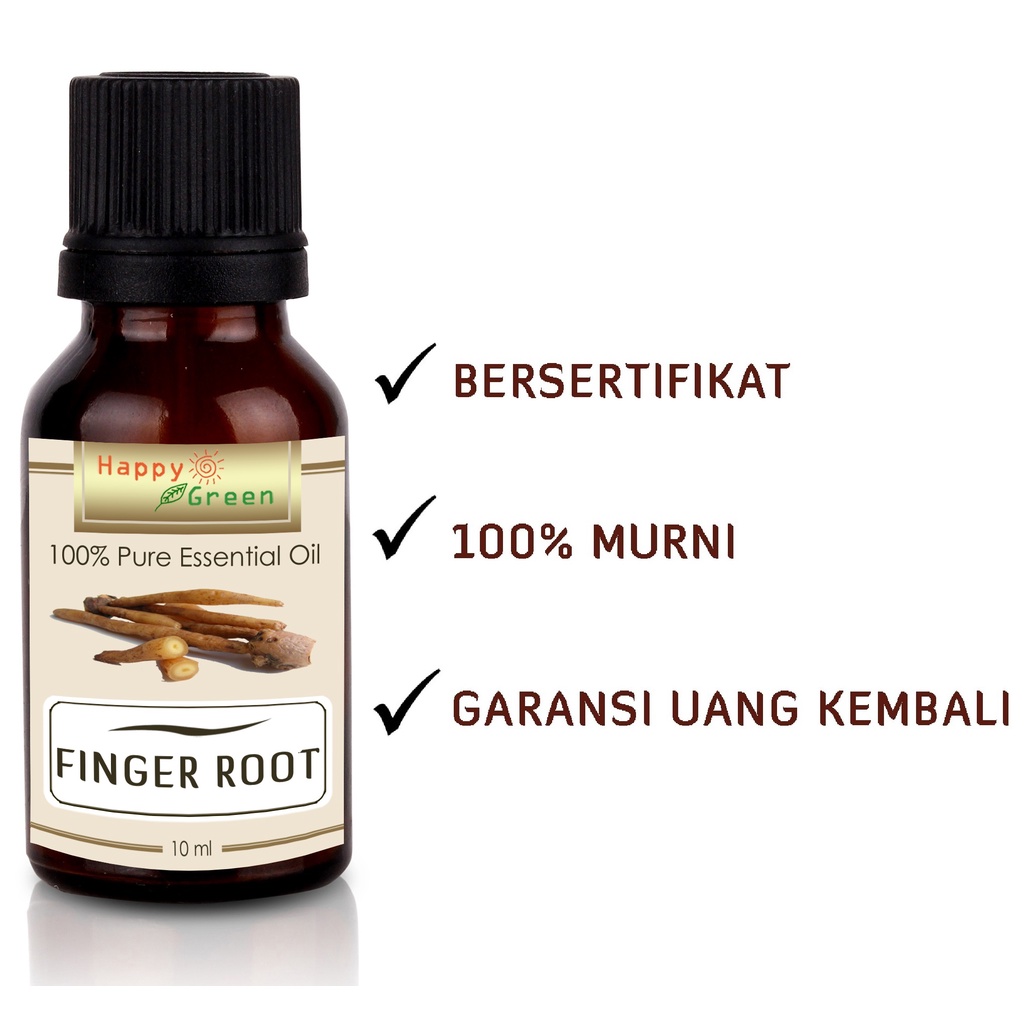 Happy Green Finger Root Essential Oil  -Minyak Temu kunci Murni