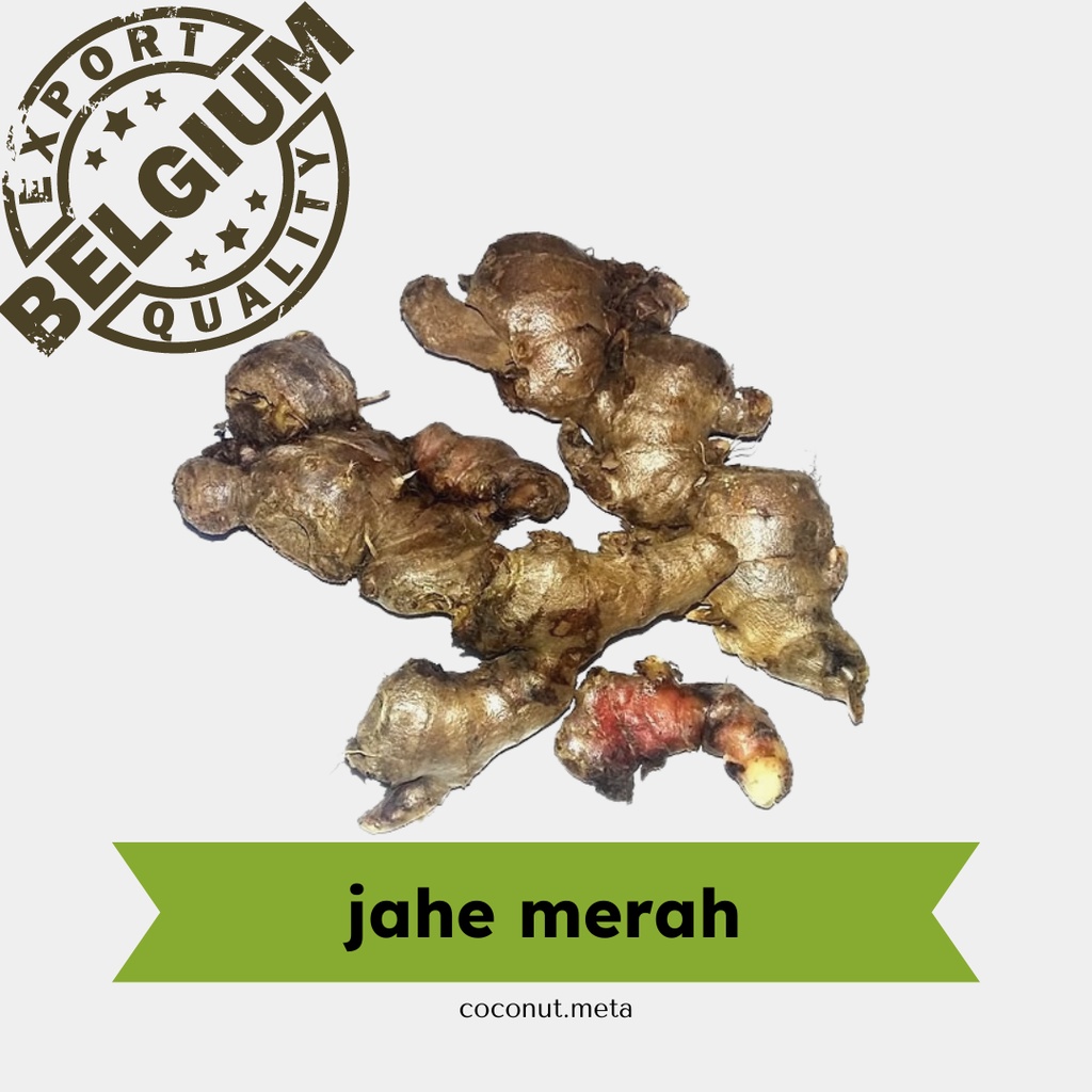 

Jahe Merah 500gr / Red Ginger by Coconut Meta