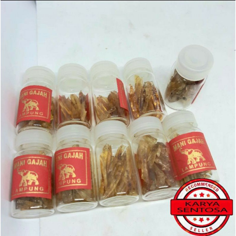 Sepaket 10pcs M Gaja Krisral