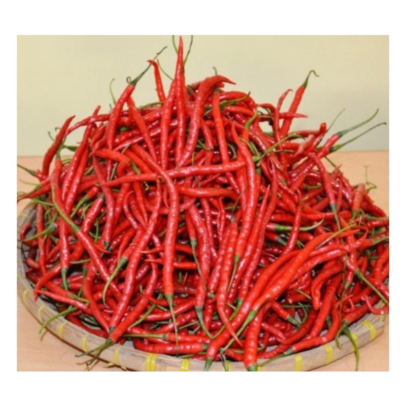 

cabe merah keriting